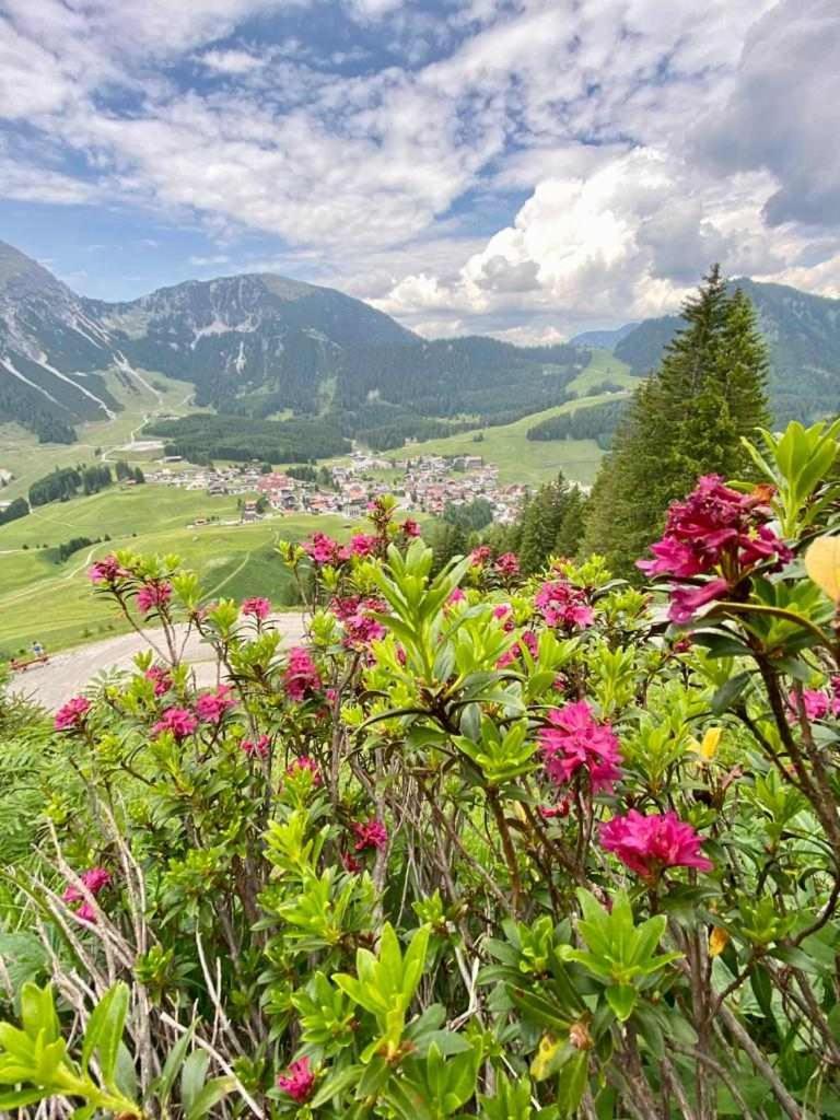 Gaestehaus Bergland Берванг Экстерьер фото